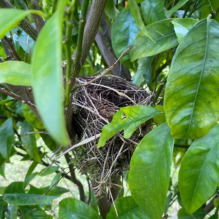 La Quinta De Tunte ヴィラ ビリャビシオサ