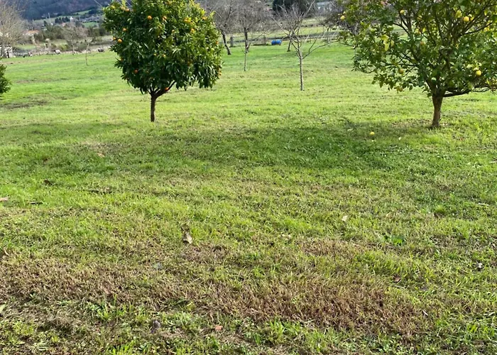 La Quinta De Tunte * Villaviciosa (Asturias)
