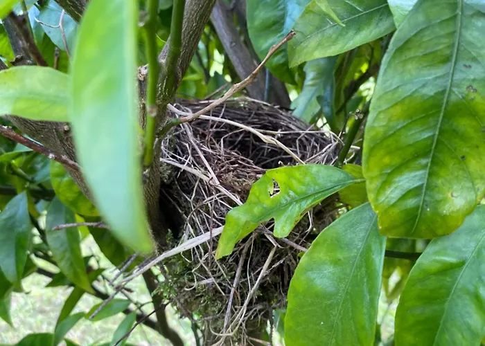 La Quinta De Tunte Villa Villaviciosa (Asturias)